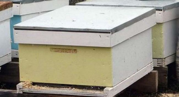 Kdy začít se zateplováním včelstev na zimu a jak to správně udělat